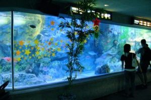 ikebukuro sunshine city aquarium