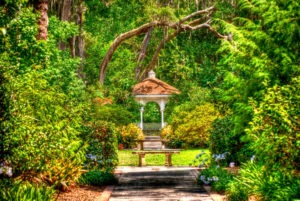 Gardens In Orlando FL