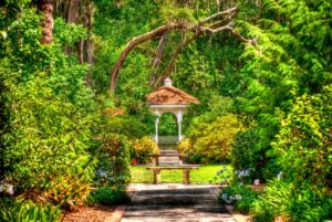 Top 3 Gardens In Around Orlando Fl