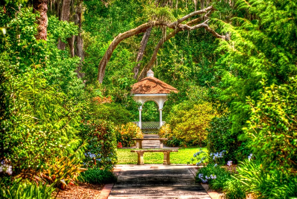 Top 3 Gardens In Around Orlando Fl Experience The Nature