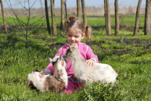 Green Meadows Petting Farm