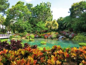 Top 3 Gardens In Around Orlando Fl