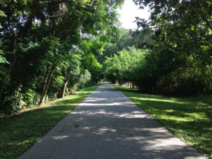 The Top 3 Bike Paths In Orlando